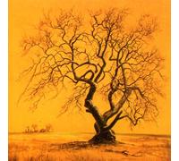 Twelve Thousand Armies - Mirth These Days