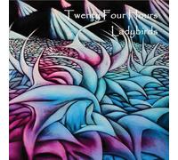 Twenty Four Hours - Ladybirds
