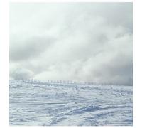 Twiggy Frostbite - Through Fire