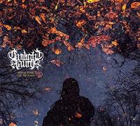 Twilight Fauna - Where Birds Call My Name