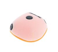 Twin Air Filtro de aire estándar