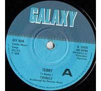 Twinkle - Twinkle - Terry - 7" Single 1976 - Galaxy GY 104