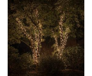 Twinkly RGBW guirnalda de luces, 250-fl. 20m negro