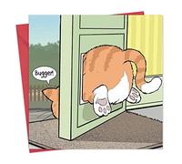 Twizler Funny Card con Fat Cat Stuck in Cat Flap - Tarjeta en blanco - Tarjeta de feliz cumpleaños - Tarjeta de humor