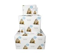 Twizler Papel de regalo de feliz cumpleaños para hombres, bonita morsa, 4 hojas y 4 etiquetas, hojas plegadas de 70 cm x 50 cm, divertido papel de regalo