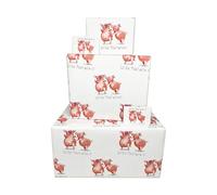 Twizler Papel de regalo de feliz cumpleaños para mujeres u hombres, cerdos de fiesta, 4 hojas y 4 etiquetas, hojas plegadas de 70 cm x 50 cm, divertido papel de regalo