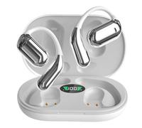 Two-Way Translating Earbuds - AI Type-C Charging Language Translation