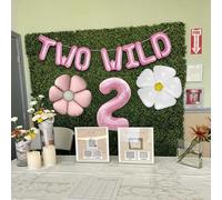 Two Wild Banner Happy 2nd Birthday Banner Jungle Second Birthday Decoration Daisy Party Supplies Rose Gold Daisy Balloons