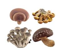TWTCZOZ 4 Piezas de Juguetes de Cognición de Modelos de Hongos Artificiales, Adornos, Accesorios, Mini Estatuas de para, marrón