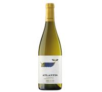 Txakoli de Álava Atlantis Txakoli 2024