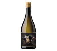 Txakoli de Bizkaia Oxer Marko Terlegiz 2025