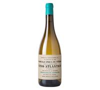 Txakoli de Bizkaia Península Vino Atlántico 2025
