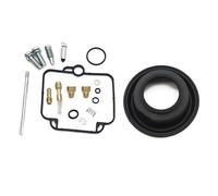 TXCJNIU Kit De Reparación De Carburador, Junta De Válvula De Aguja, Tornillo De Aire Y Diafragma De Vacío para DR350, Goose350, BST40, DR 350