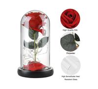 Txj Beauty And The Beast Rose Gift Kit Glass Dome Artificial Rose Lamp