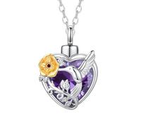 TXQHDHX Hummingbird Crystal Heart Cremation Jewelry for Ashes Pendant Urn Necklace with Mini Keepsake Urn Memorial Ashes Jewelry of Loved One