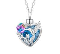 TXQHDHX Hummingbird Crystal Heart Cremation Jewelry for Ashes Pendant Urn Necklace with Mini Keepsake Urn Memorial Ashes Jewelry of Loved One