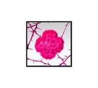 TXT 7TH YEAR: A Moment Of Stillness In The Thorns [Cushion of Thorns Ver.] 8º mini álbum