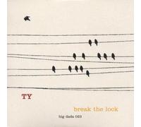 Ty - Break The Lock