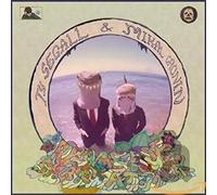 Ty Segall &amp - Reverse Shark Attack