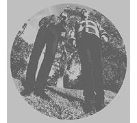 Ty Segall and White Fence - Hair [Vinilo]