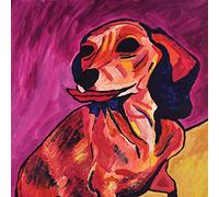 Ty Segall - Fanny [Vinilo]