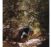 Ty Segall - Possession [Casete]