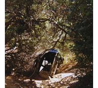 Ty Segall - Possession [Vinilo]