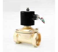 TYBOPHQJ Electroválvula eléctrica de Agua y Aceite de latón NPT 2W-50 de 2 Pulgadas, DN50, 2 vías, Normalmente Cerrada(G-120VAC)