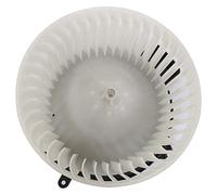 TYC Conjunto de soplador