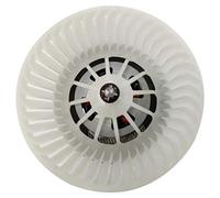 TYC Conjunto de soplador