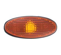 TYC Indicador lateral