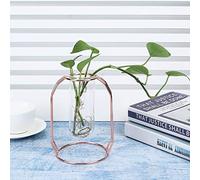 TYCIONG Florero de Planta Hidropónica con Ventilación Transparente, Decoración de Mesa Elegante, Amantes de la Menta, Dorado, 4,3x6,1 Pulgadas (Oro Rosa)