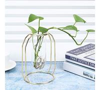 TYCIONG Florero de Planta Hidropónica con Ventilación Transparente, Decoración de Mesa Elegante, Amantes de la Menta, Dorado, 4,3x6,1 Pulgadas (Oro)