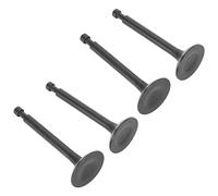 TYCIONG Kit de Válvula de Escape de Admisión, Piezas Originales Originales de Generador de Gasolina OEM con Rendimiento Estable, Fácil de Instalar para Pesca, Cría de Animales,