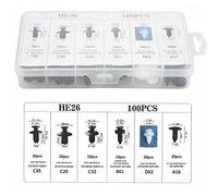Tyenaza 100pcs Car Body Retainer Clips Set, Multiple Size Nylon Universal Push Pin Rivets Set for Automobiles