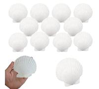 TYEQWT 12 Piezas Concha de Vieiras Grande, 10-12 cm Blancas Naturales Conchas de mar Decoracion Grandes, Conchas para Cocina Decoración, Artesanías Bodas decoran, Fiestas temáticas de Playa