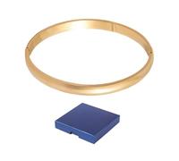 TYFGRT 1 Pulsera De Anillo Pigmentada En Oro, 1 Joyero, Pulsera De Acero Inoxidable para Mujer, Pulsera para Niña, Adecuada como Regalo para Niñas