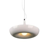 Tyinerc Lámpara Colgante de Plantas para Jardín - Lámpara de Plantas Colgante Creativa | Iluminación Ambiental Minimalista para Interior Exterior Salón Dormitorio Cocina Oficina Restaurante Casa de