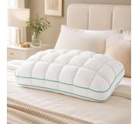 tylxayoxa Almohada Refrescante De Nube Hecha Seda Ice, Transpirable, Lavable A Máquina, Relleno Microfibra 3D, Alivio Presión(White)