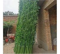 tylxayoxa Biombo De Bambú For Exteriores, Plantas Artificiales Grandes, Árboles 90 Cm, 120, 150 Y 180 Altura. Planta Artificial con Hojas(10 Pack,1.8m/5.9ftTall)