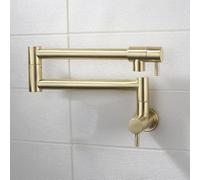 TYMYW Grifo Cocina Pared Agua Fria Brazo Oscilante de Doble Sección Orificio Único Grifos de Llenado de Ollas Telescópico Plegable Acero Inoxidable,Oro Cepillado