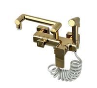 TYMYW Grifo Cocina Pared Plegable Brazo Giratorio de 360° Grifo Mezclador Cocina Pared con Ducha Latón Doble Orificio,Oro