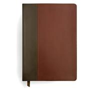 Tyndale NLT Life Application Study Bible, Thir (de piel falsa) (Importación USA)