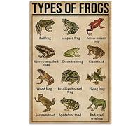 Types of Frogs Vintage Poster Tin Signs 8 x 12 pulgadas Divertido Regalo