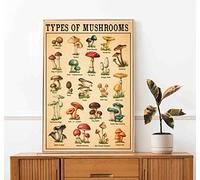 Types of Mushroom Mushroom Mushroom L Gift Mushroom Decor Fungi Knowledge Sushroom Sign Decor Metal Sign Tin Sign Decor Poster Wall Art Poster 8X12 Inch