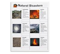 Types of Natural Disasters Poster Science Classroom Decor Infographic Canvas Art for School(Unframed,16x24inch(40x60cm))