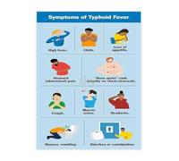 Typhoid Fever Prevention Awareness Educational Poster Public Health Chart for Clinic School Decor (Unframed,08x12inch(20x30cm))