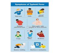 Typhoid Signs and Symptoms Educational Chart Health Poster for Clinic Doctor Office Waiting Room(Framed,08x12inch(20x30cm))