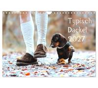 Typiquement teckel 2027 (Calendrier mural 2027 DIN A4 vertical), CALVENDO calendrier mensuel