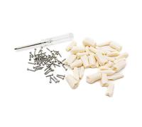 Typodont - Modelo de dientes modelo de dientes de encía, modelo de enseñanza con dientes extraíbles 28/32 modelo/juego